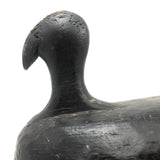 Stark Black Working Decoy with Marvelously Hooked Old Beak Repair