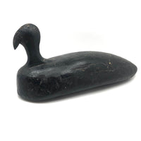 Stark Black Working Decoy with Marvelously Hooked Old Beak Repair