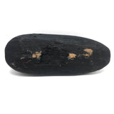 Stark Black Working Decoy with Marvelously Hooked Old Beak Repair