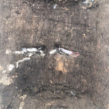 Mid-Century Carved and Painted Mexican Festival Mask with Rattle Headpiece