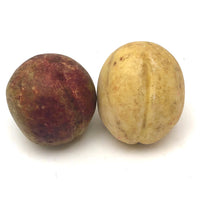 Stone Fruit Apricot and Plum - A Pair