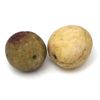 Stone Fruit Apricot and Plum - A Pair