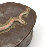 Fabulous Lidded Pottery Snake Box