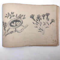 Luthera M. Whitney's Charming Antique Sketchbook, Full