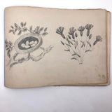 Luthera M. Whitney's Charming Antique Sketchbook, Full