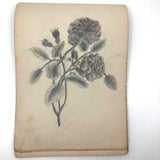 Luthera M. Whitney's Charming Antique Sketchbook, Full