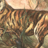 Ferocious Tiger in the Wild! Antique Painting on Thick Canvas