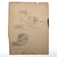 Emma Ackerley 1870 Loose Sketchbook Pages + Cover