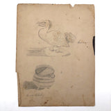 Emma Ackerley 1870 Loose Sketchbook Pages + Cover