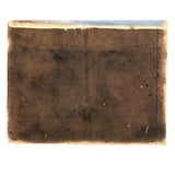 Ferocious Tiger in the Wild! Antique Painting on Thick Canvas