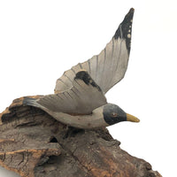 Carved and Painted Seagull on Driftwood