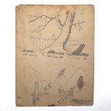 Emma Ackerley 1870 Loose Sketchbook Pages + Cover