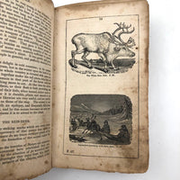 Goldsmith's Natural History Abridged, 1846, Much Annotated!