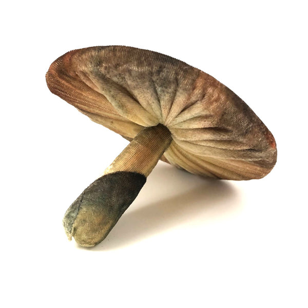 Fabulous Velvet Mushroom Pin Cushion