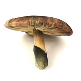 Fabulous Velvet Mushroom Pin Cushion