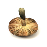 Fabulous Velvet Mushroom Pin Cushion