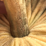 Fabulous Velvet Mushroom Pin Cushion