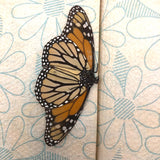 The Progressive Reader Volume Two, As Found, with Monarchs!