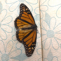 The Progressive Reader Volume Two, As Found, with Monarchs!
