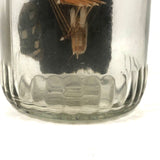 1920s Folk Art Ship in a Bottle Whimsy with Village, Signed B. Nielson