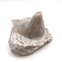 Large Folk Art Carved Marble Fox Head