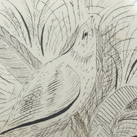 1891 Signed Spencerian Pen and Ink Drawing of Two Birds