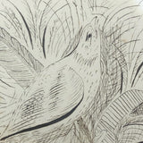 1891 Signed Spencerian Pen and Ink Drawing of Two Birds