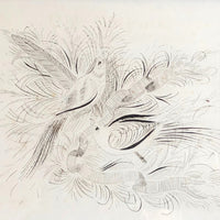 1891 Signed Spencerian Pen and Ink Drawing of Two Birds