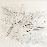 1891 Signed Spencerian Pen and Ink Drawing of Two Birds