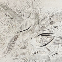 1891 Signed Spencerian Pen and Ink Drawing of Two Birds