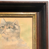 Three Soulful Cats Large Mixed Media Drawing on Paper, Framed