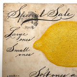 Embossed Lemon 1907 J. Koehler Postcard with Hand-written Advertising Text