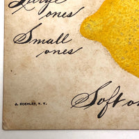 Embossed Lemon 1907 J. Koehler Postcard with Hand-written Advertising Text