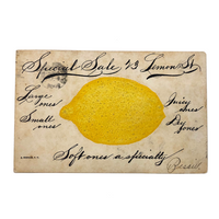 Embossed Lemon 1907 J. Koehler Postcard with Hand-written Advertising Text