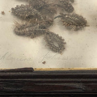 Victorian Hair Mourning Piece, Vine with Flowers Atop Cross, Alouisa Johnson