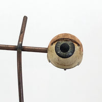 Antique Painted Doll Eyes Mounted on Stand!
