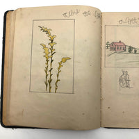 Mabel Wing's 1906 Drawing Notebook with Interventions from Edwin!