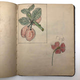 Mabel Wing's 1906 Drawing Notebook with Interventions from Edwin!