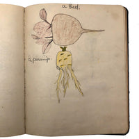 Mabel Wing's 1906 Drawing Notebook with Interventions from Edwin!