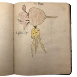 Mabel Wing's 1906 Drawing Notebook with Interventions from Edwin!