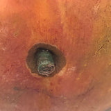 Great Early Stone Fruit Bruised Peach and Blushing Apricot