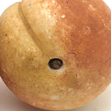 Great Early Stone Fruit Bruised Peach and Blushing Apricot