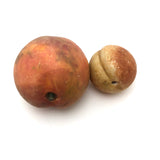 Great Early Stone Fruit Bruised Peach and Blushing Apricot