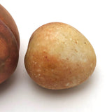 Great Early Stone Fruit Bruised Peach and Blushing Apricot