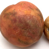 Great Early Stone Fruit Bruised Peach and Blushing Apricot