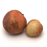 Great Early Stone Fruit Bruised Peach and Blushing Apricot