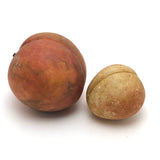 Great Early Stone Fruit Bruised Peach and Blushing Apricot