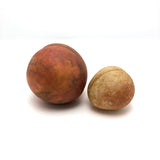 Great Early Stone Fruit Bruised Peach and Blushing Apricot