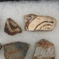 Collection of Early Pottery Shards, Presumed Anasazi