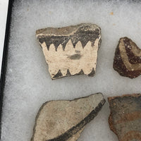 Collection of Early Pottery Shards, Presumed Anasazi